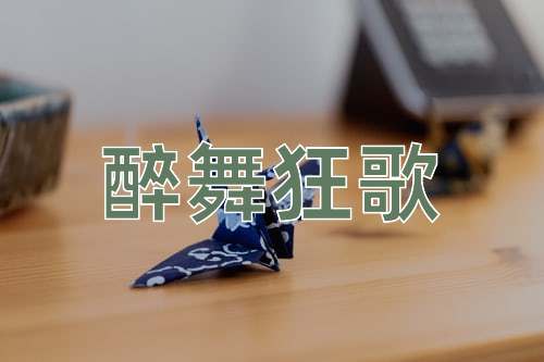 成语醉舞狂歌