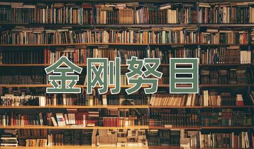 成语金刚努目