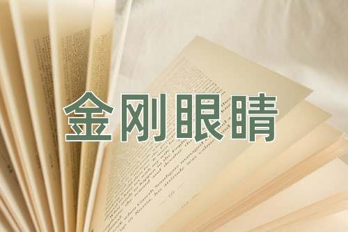 成语金刚眼睛