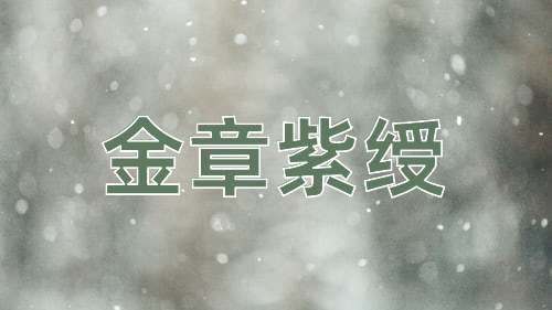 成语金章紫绶