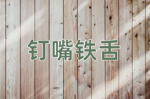 成语钉嘴铁舌