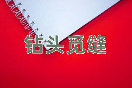 成语钻头觅缝
