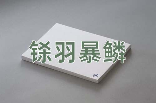 成语铩羽暴鳞