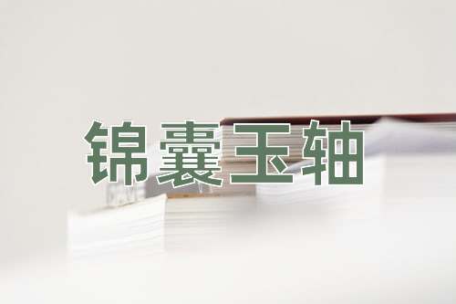成语锦囊玉轴