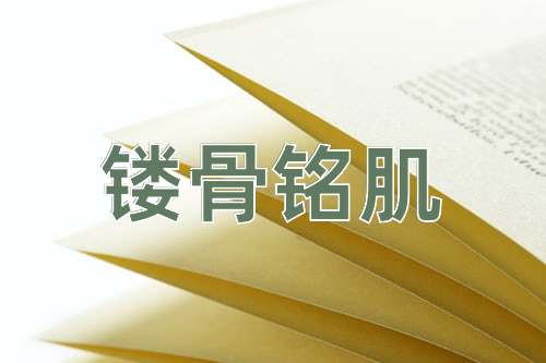 成语镂骨铭肌