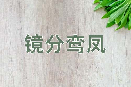 成语镜分鸾凤