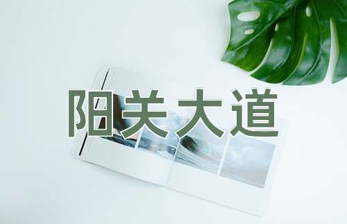 成语阳关大道