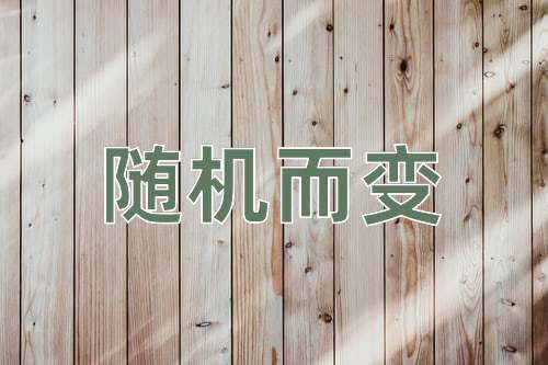 成语随机而变