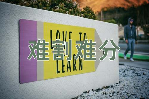 成语难割难分