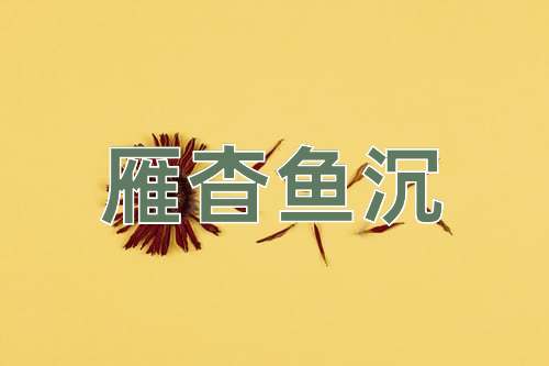 成语雁杳鱼沉