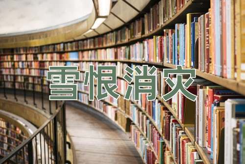 成语雪恨消灾
