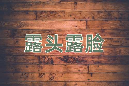 成语露头露脸