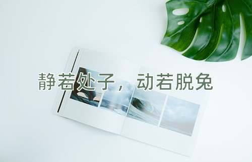 成语静若处子，动若脱兔
