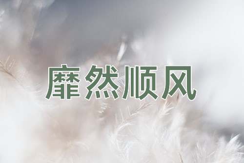 成语靡然顺风