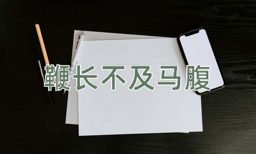 成语鞭长不及马腹