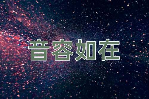 成语音容如在