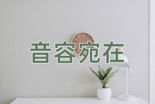 成语音容宛在