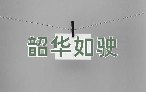 成语韶华如驶