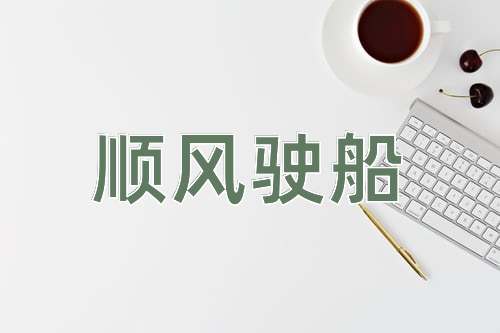 成语顺风驶船