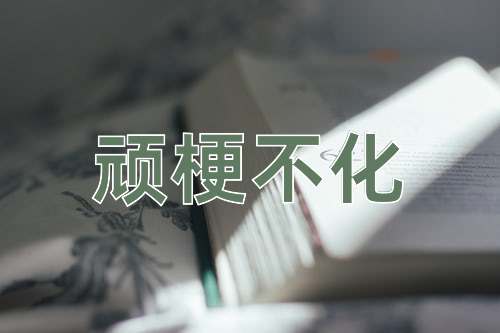 成语顽梗不化