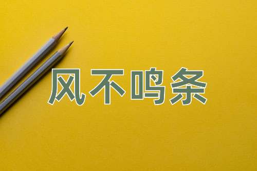 成语风不鸣条
