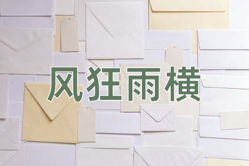 成语风狂雨横