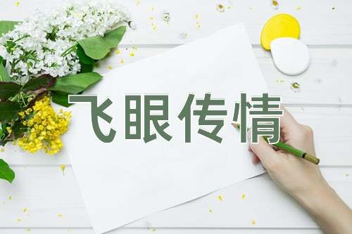 成语飞眼传情