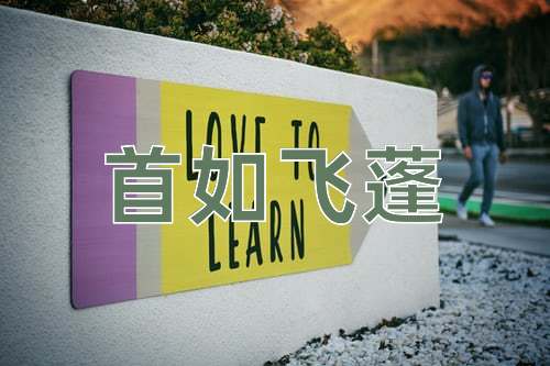 成语首如飞蓬