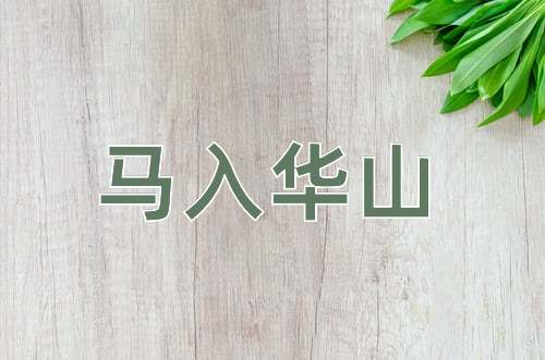 成语马入华山