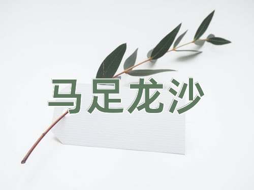 成语马足龙沙