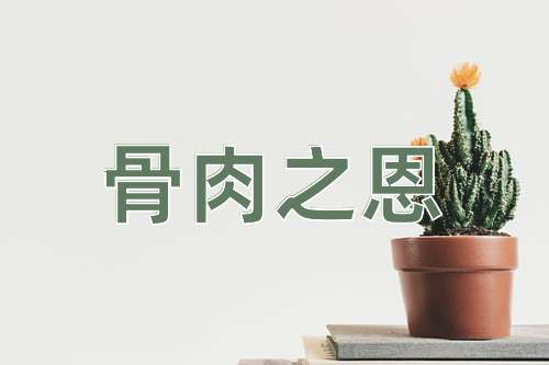 成语骨肉之恩