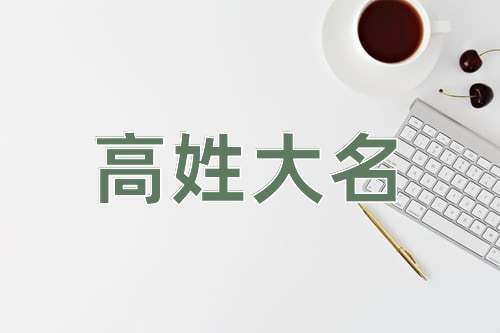 成语高姓大名