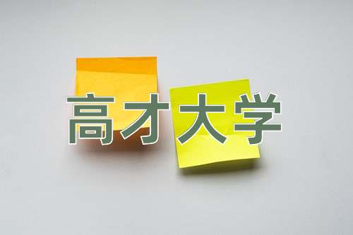 成语高才大学