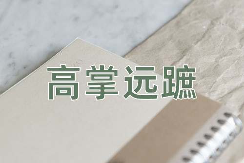 成语高掌远蹠