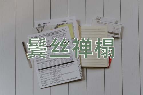 成语鬓丝禅榻