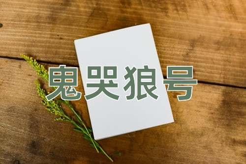 成语鬼哭狼号