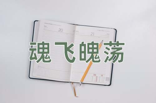 成语魂飞魄荡