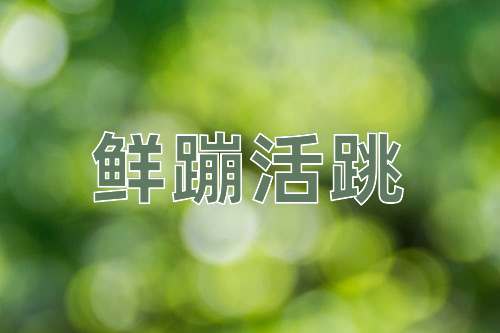 成语鲜蹦活跳