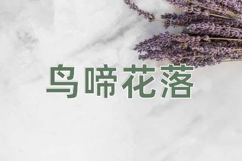 成语鸟啼花落