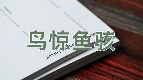 成语鸟惊鱼骇