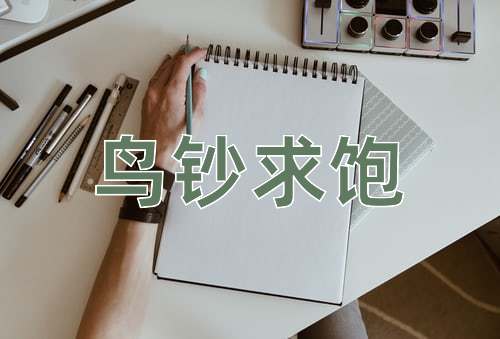 成语鸟钞求饱