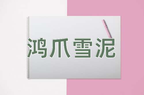 成语鸿爪雪泥