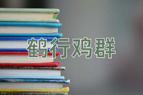 成语鹤行鸡群