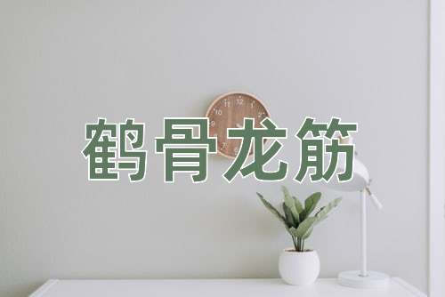 成语鹤骨龙筋