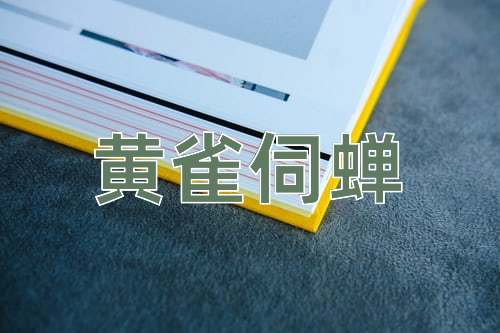 成语黄雀伺蝉