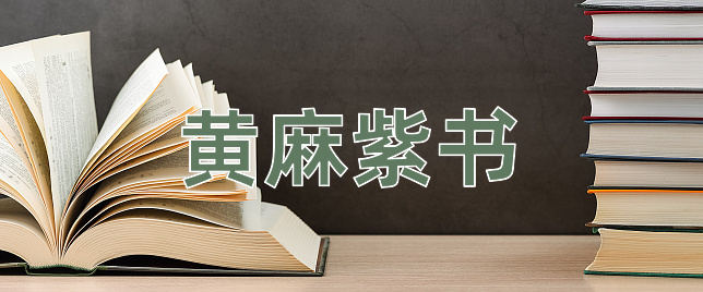 成语黄麻紫书