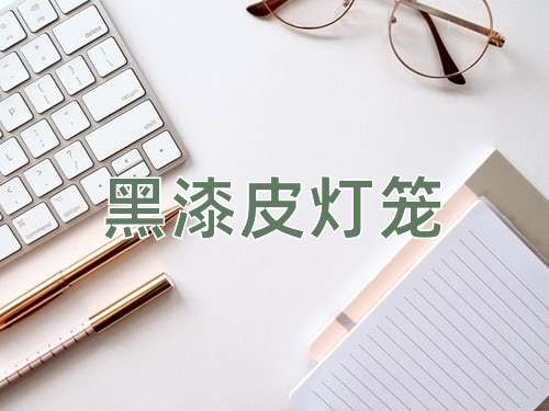成语黑漆皮灯笼