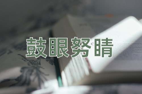 成语鼓眼努睛