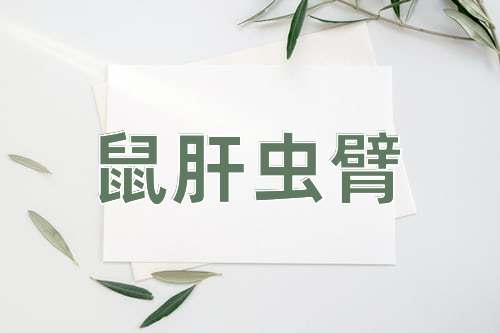 成语鼠肝虫臂