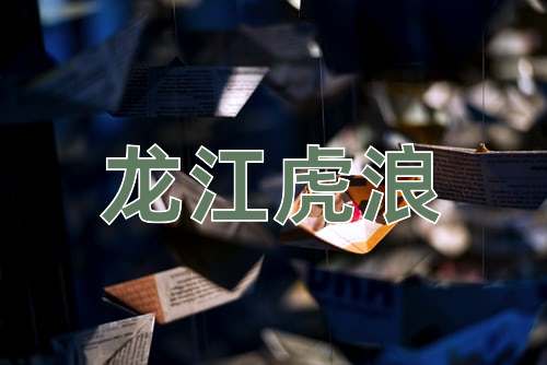 成语龙江虎浪